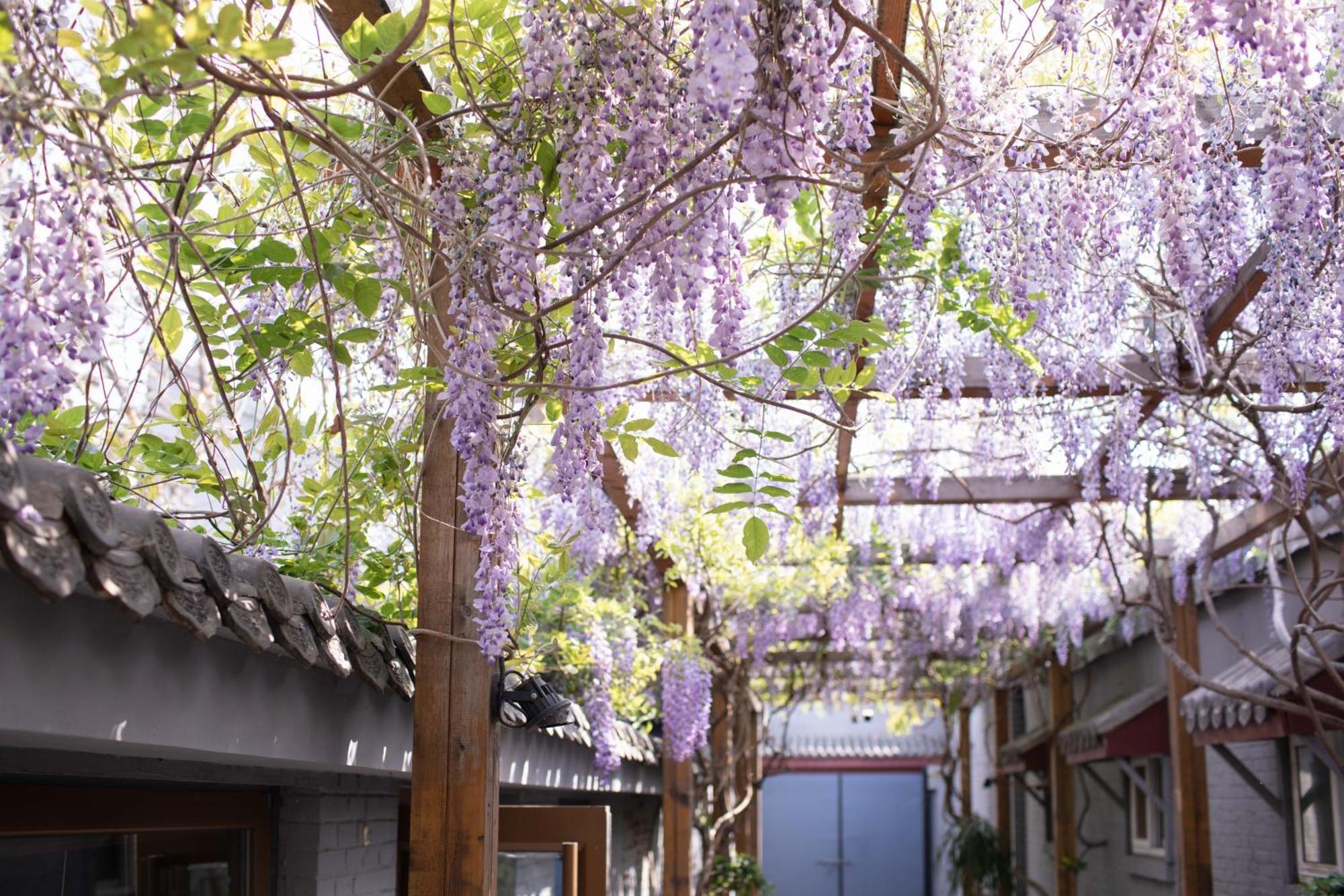 Guipu Beihai Courtyard Hotel بكين المظهر الخارجي الصورة